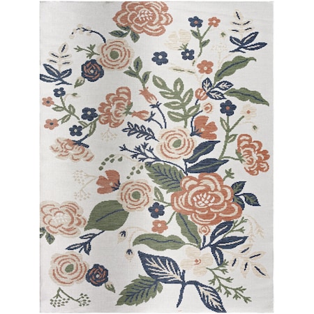 Livabliss Barbados BBD-2313 Outdoor Safe Area Rug BBD2313-679